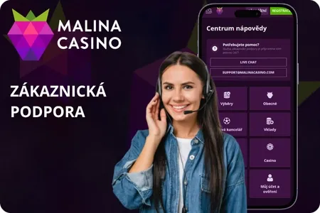 Online podpora zákazníků