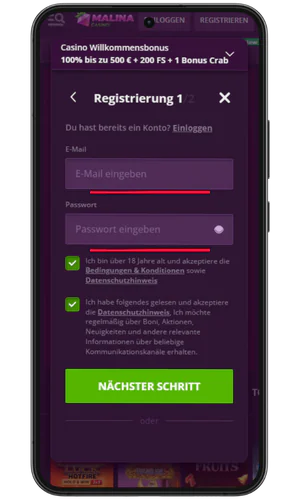 Dateneingabe für die Registrierung Malina Casino