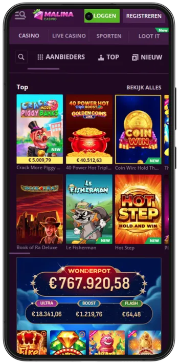 Soorten spellen in de applicatie Malina Casino